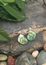 Load image into Gallery viewer, Natural Walnut Wood and Abalone Shell Earrings