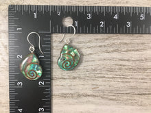 Load image into Gallery viewer, Natural Walnut Wood and Abalone Shell Earrings
