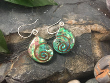 Load image into Gallery viewer, Natural Walnut Wood and Abalone Shell Earrings
